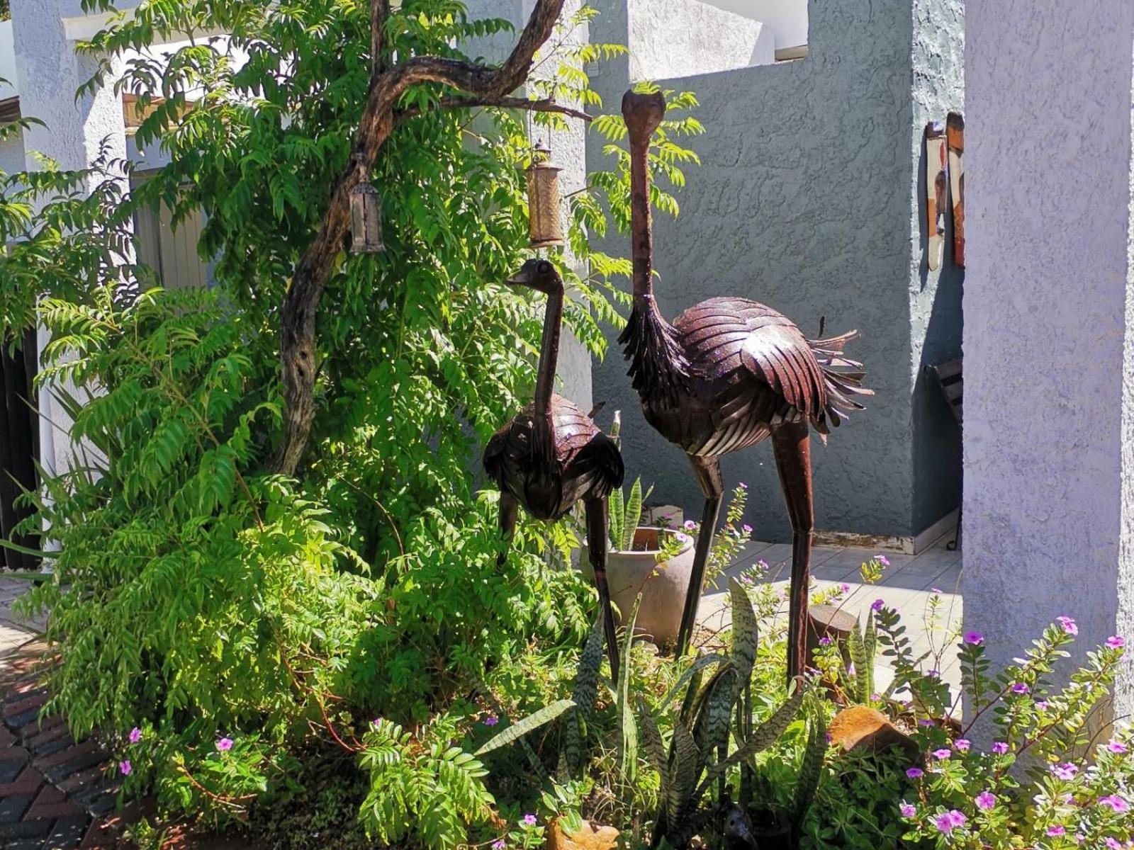 Guesthouse Terra Africa Windhuk Zewnętrze zdjęcie